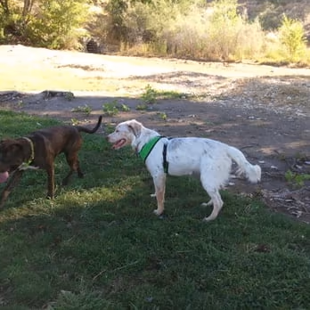 Marco Dog Park photo 1